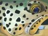 Brown Trout Face Giclee 